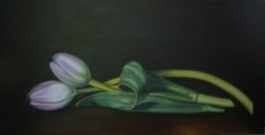 "Reposed Tulips" 24 x 40, Oil on Canvas - Sold