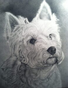 "Max" 22 x 16, Graphite on Paper - Sold