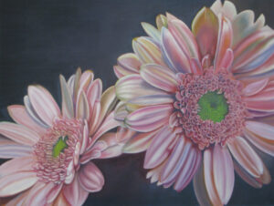 "Big Pink Daisies" 24 x 30, Oil on Canvas - Sold